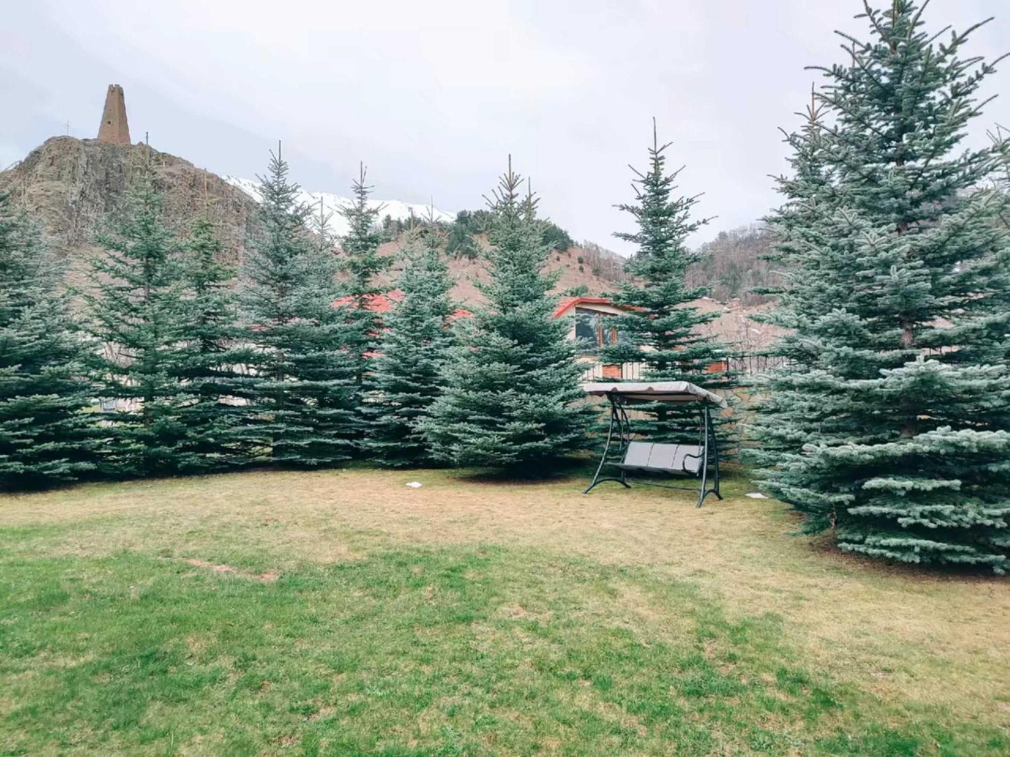 Vardisubani Villa Степанцмінда Екстер'єр фото